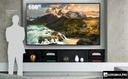 Sony Professional 100” Professional display FW-100BZ40