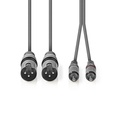 Nedis COTH15210GY30 Gebalanceerde Audiokabel 2x XLR 3-Pins - 2x RCA 3m Grijs