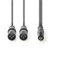 Nedis COTH15310GY30 Gebalanceerde Audiokabel 2x XLR 3-Pins - 3,5 mm jack 3m Grijs