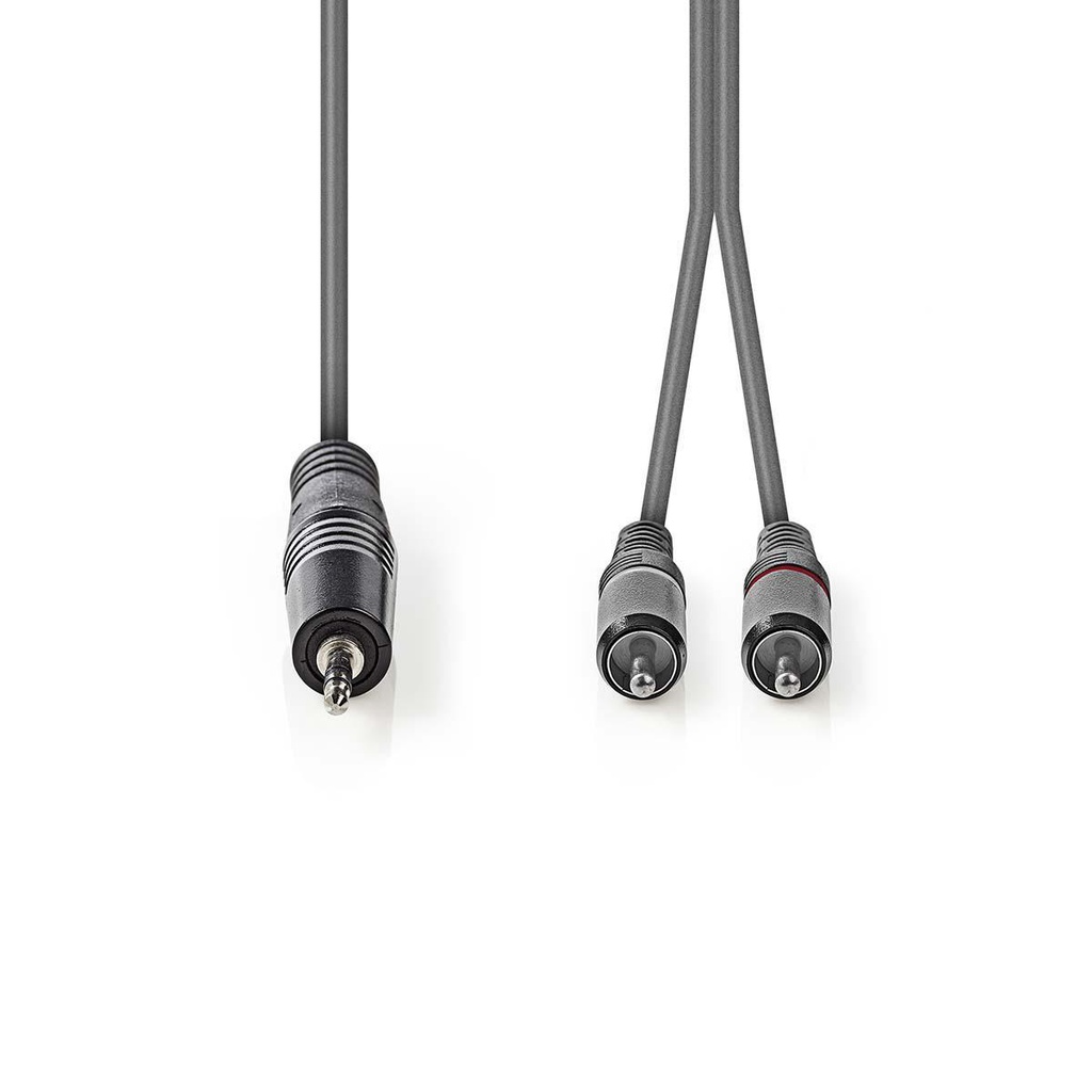 Nedis COTH22200GY30 Stereo-Audiokabel 3,5 mm Jack -  2x RCA Vernikkeld 3m Grijs