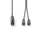 Nedis COTH22200GY30 Stereo-Audiokabel 3,5 mm Jack -  2x RCA Vernikkeld 3m Grijs