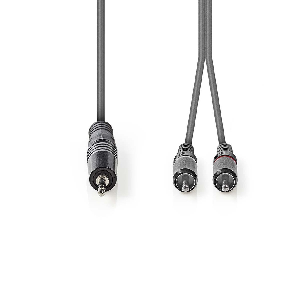 Nedis COTH22200GY50 Stereo-Audiokabel 3,5 mm Jack 2x RCA 5m Grijs