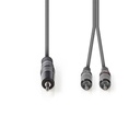 Nedis COTH22200GY50 Stereo-Audiokabel 3,5 mm Jack 2x RCA 5m Grijs