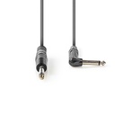 Nedis COTH23005GY30 Mono-Audiokabel Haaks 6,35 mm Jack 3m Grijs