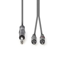 Nedis COTH23300GY30 Stereo-Audiokabel 6,35 mm Jack - 2x RCA 3m Grijs 