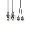 Nedis COTH23320GY50 Stereo-Audiokabel 2x 6,35 mm Jack -  2x RCA 5m Grijs 