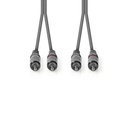 Nedis COTH24200GY30 Stereo-Audiokabel 2x RCA 3m Grijs