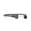 Nedis CSVC41980BK025 Kabel voor Auto-Antenne Vernikkeld 30cm Zwart 