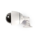 Nedis DUMCD50WT Dummy Beveiligingscamera Batterij Gevoed Binnen Wit