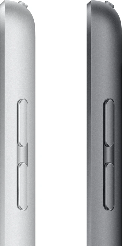 Apple 10.2-inch iPad Wi-Fi + Cellular 256GB - Space Grey