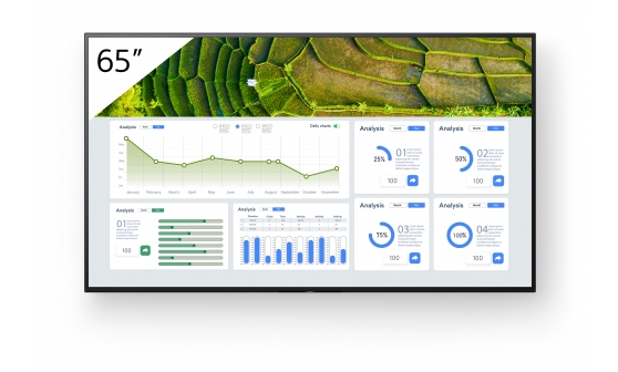 Écran professionnel Sony FW-65BZ30L 65" 4K HDR 440 Nits Utilisation 24h/24 et 7j/7