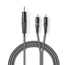 Nedis COTH22200GY30 Stereo-Audiokabel 3,5 mm Jack -  2x RCA Vernikkeld 3m Grijs