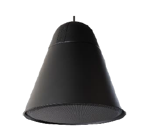 Biamp Desono 2-Way Hanging Speaker 70/100V 30W @16Ω Black - P30DT-BL