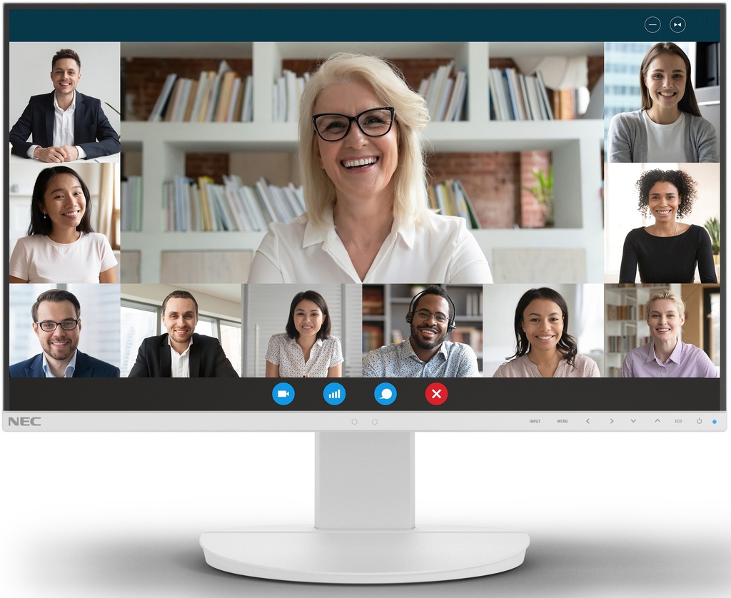 Sharp/NEC EA242F MULTISYNC Enterprise Monitor 24" Full HD 250nits Wit