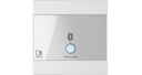 Panneau mural universel - Entrée récepteur Bluetooth - 80 x 80 mm - WP220/W