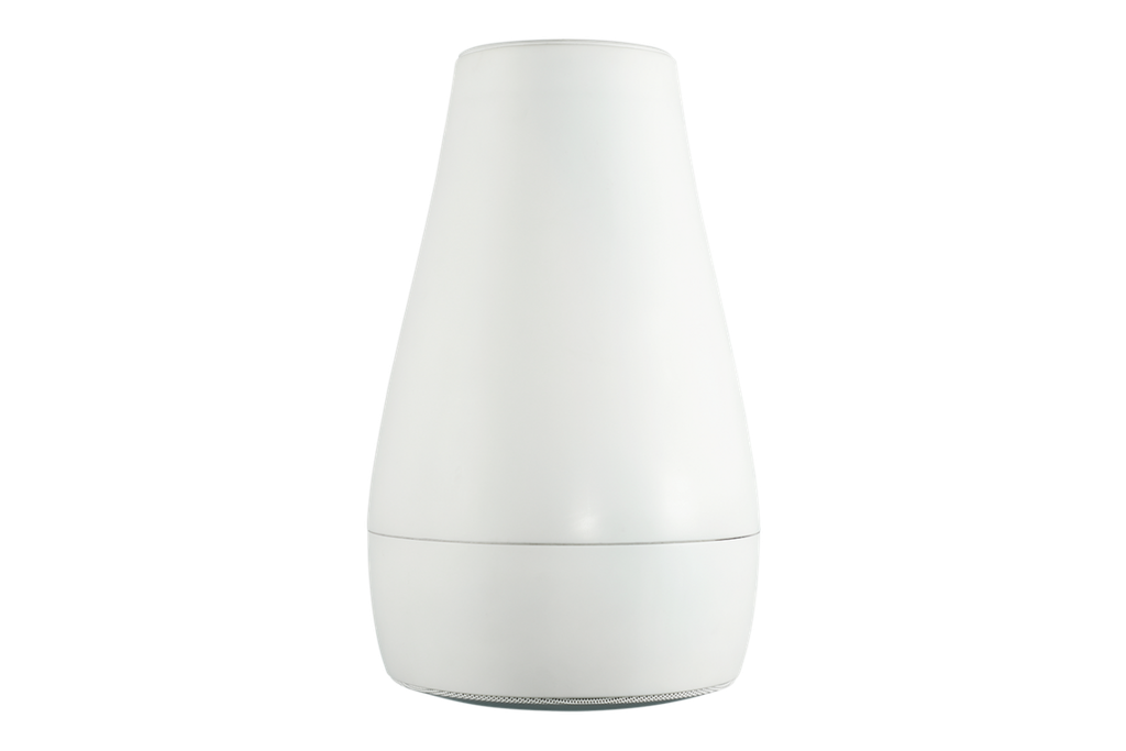 Biamp Desono P6 White Hanging Speaker Coaxial 6.5" 70/100V 60W @ 6Ω White (Per pair)