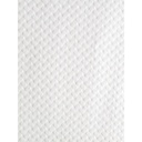 Cogir FT581 Sets de table jetables 30x40cm 500 pièces Papier Blanc
