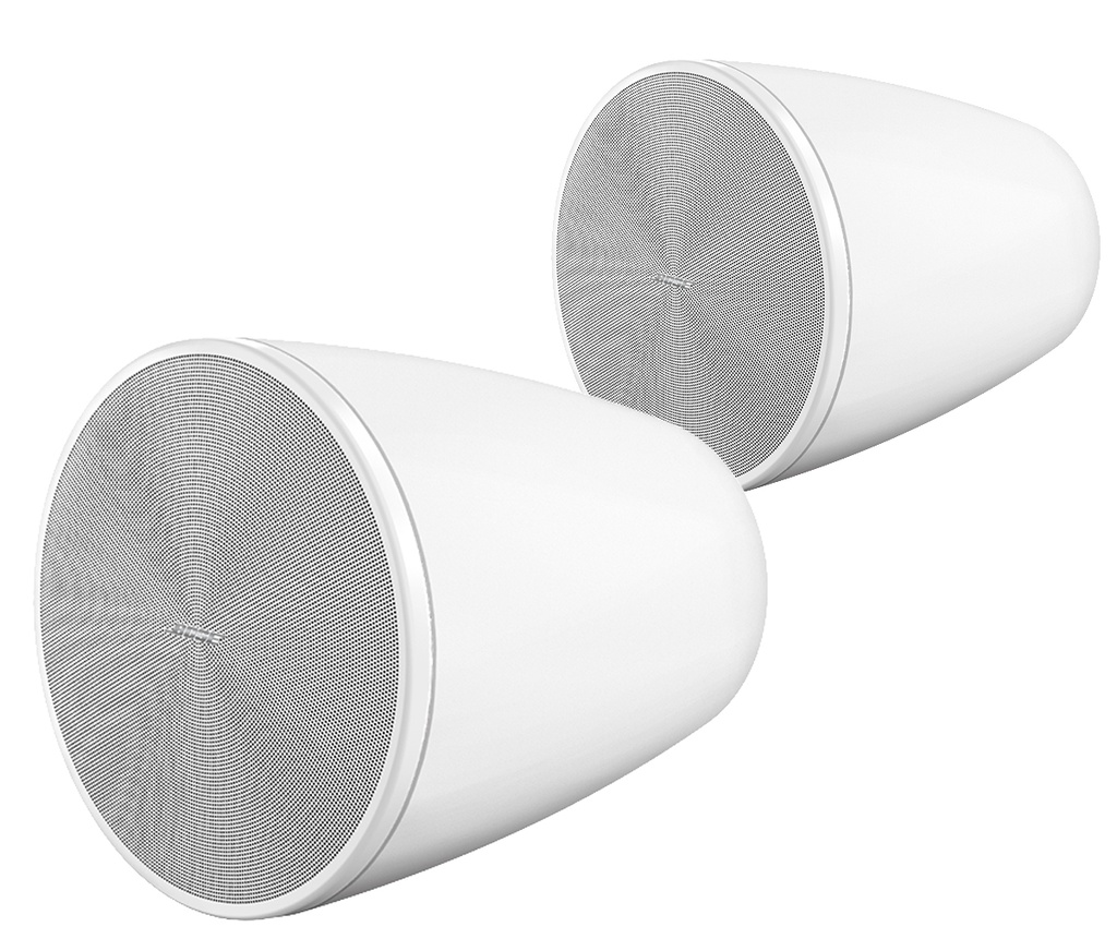 Bose DesignMax DM6PE Hangende Luidsprekers Wit (per Paar)