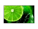 Sharp/NEC E868 Multisync Professional Display 86" 4K 400Nits 24/7 Zwart