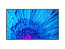 Sharp/NEC M751 MultiSync Professional Display Intel 75" 4K 500nits 24/7 Zwart 