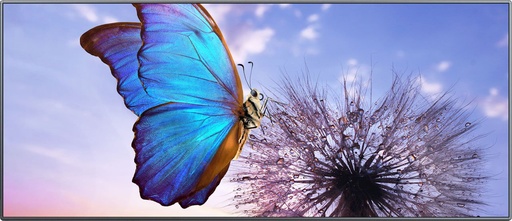 [81000450] NEC LED-FE009i2-104 0.9 mm Indoor LED UW-FHD Bundle