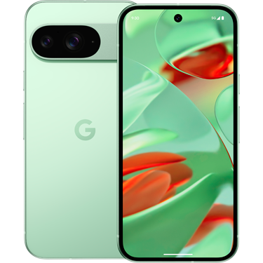 [64641121] Google Pixel 9 128GB Wintergreen