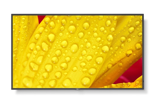 [60006083] Écran professionnel Sharp/NEC M431-2 Multisync 43" 4K 500 nits 24/7 Noir