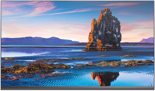 [81000631] Sharp/NEC NEC LED-FE012i3-110 Indoor LED 1.2 mm 110" FullHD Bundle