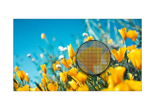 [WDAIODVLED116-A] GeroScreen WDAIODVLED116-A -  116" DV-LED All-in-One Window Display