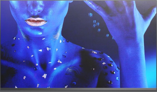 [81000290] NEC LED-FA009i2-110 0.9 mm Indoor LED QHD Bundle