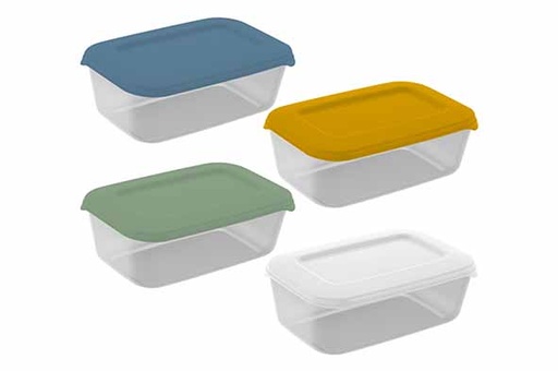 [017687] Boîtes de rangement Hega Hogar 017687 Golden Line 20,5 x 13,7 x 7,6 1,4 l 4 pièces